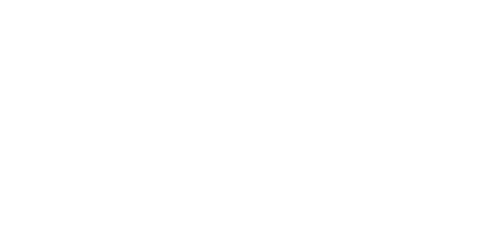 Nex Consultants